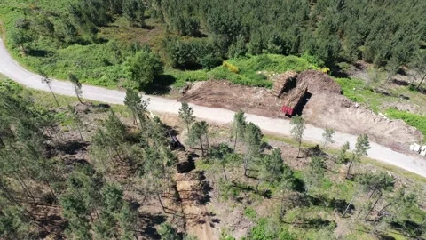Tractor Transporting Tree Trunks Stock Footage 162274906