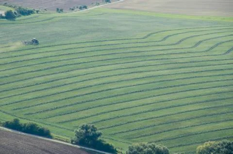 Tractor turning grass Stock Photos