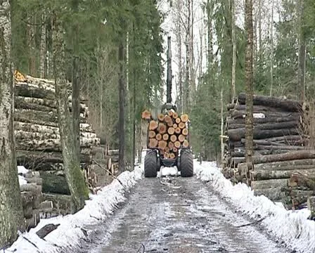 Tractor unload logs Stock Footage 10901124