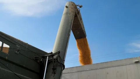 A tractor unloads a corn crop into a grain truck Stock Footage 292500775