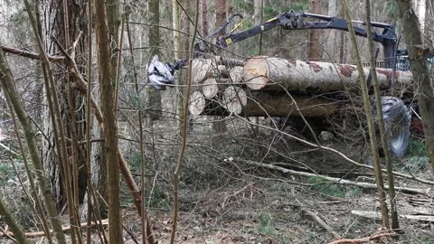 Tractor uses grappler and cable to pull out tree log from forest Stock Footage 273464400