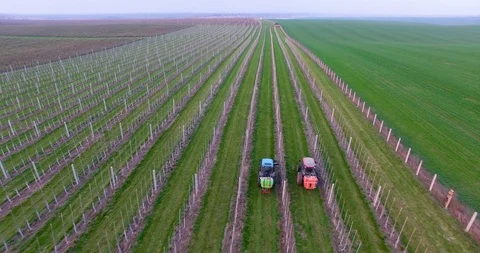 Tractor using a air dust machine sprayer with a chemical insecticide, sulfur, or 動画素材 88409366