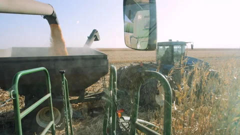 Tractor view of processed corn kernels pouring through chute during harvest Stock-Footage 202692148