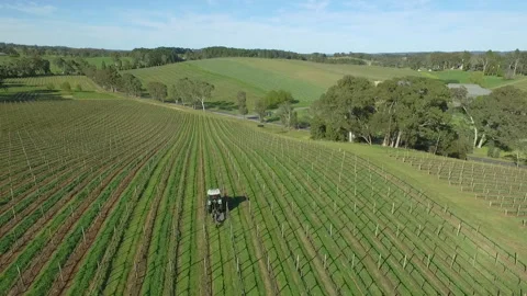 Tractor in vineyard aerial Stock Footage 251794936