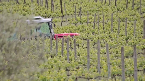 Tractor in the vineyard Stock Footage 74428513