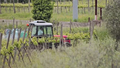 Tractor in the vineyard Stock Footage 74428694