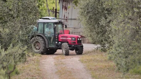 Tractor in the vineyard Stock Footage 74428903