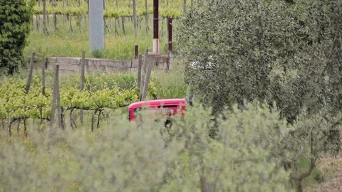 Tractor in the vineyard Stock Footage