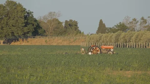 Tractor in a vineyard 스톡 동영상 118649832