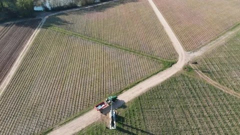Tractor in a vineyard Video stock 186504360