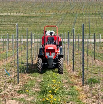 Tractor in the vineyard Stock Photos