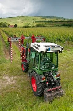Tractor in the vineyard Stock Photos