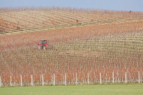 Tractor in Vineyard Stock Photos