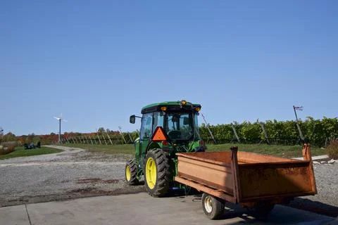 A tractor in the vineyard with rows of wine grapes in the field. Stock Photos