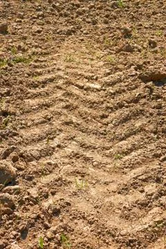 Tractor wheels dried traces Stock Photos