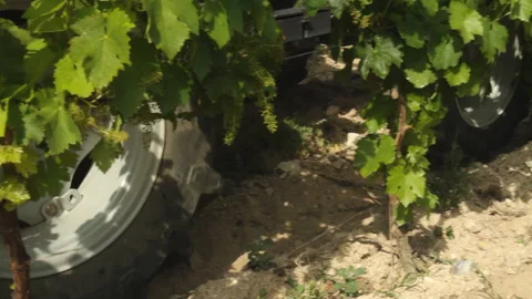 Tractor wheels on the vineyard. Close up Vídeos de archivo 98178428