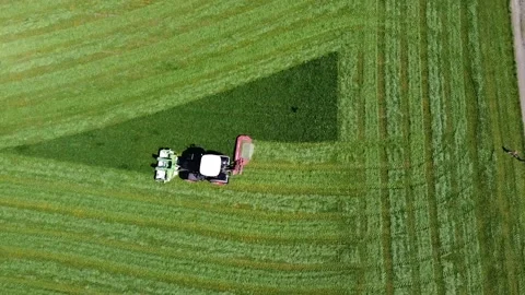 Tractor while harvesting fodder, drone shot. 스톡 동영상 139315110