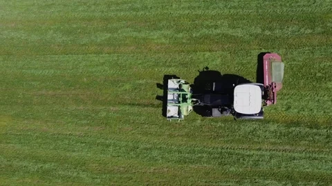 Tractor while harvesting fodder, drone shot. Stock-Footage 139315195