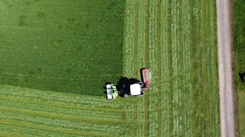 Tractor while harvesting fodder, drone shot. 스톡 동영상 139315217