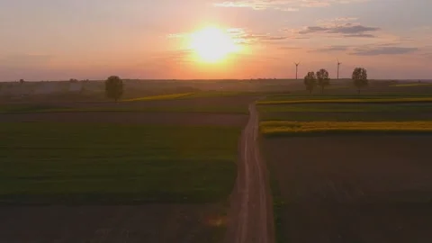 Tractor while spraying in a rapeseed field Stock Footage 242801041