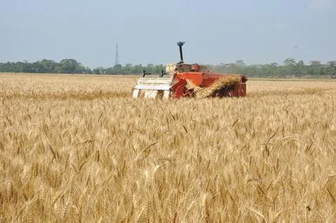 A tractor in the white field. Stock Photos