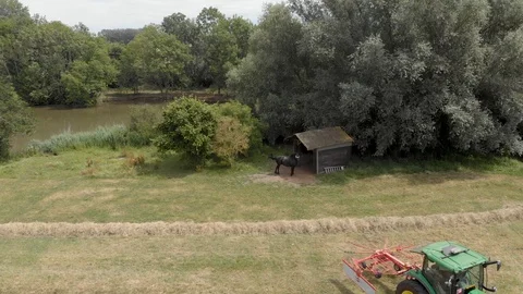 Tractor windrowing a field next to a horse Stock Footage 112985186