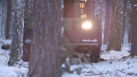 Tractor in the winter forest passing by with lights on Stock Footage 70705872