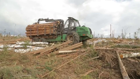 Tractor with wood Video stock 83851882