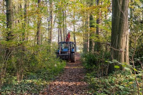 Tractor in the woods Foto stock