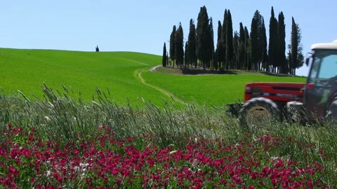 Tractor at work in the cultivated fields of the Val d'Orcia Stock Footage 195037434