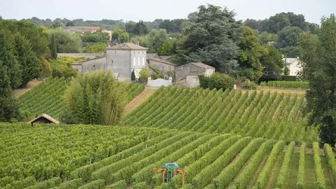Tractor at work during harvest in vineyard at St Emilion, Bordeaux wine region o Stock Footage 69085527