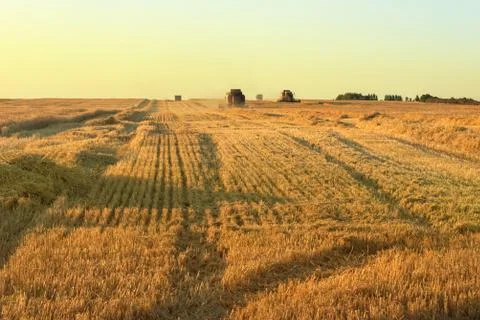 Tractor at work in the evening Stock Photos