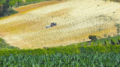 Tractor At Work in a Field Stock Footage 252038378