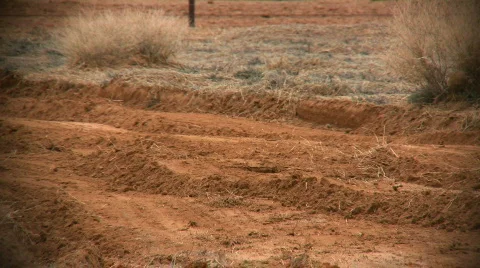 Tractor at Work Video stock 74676