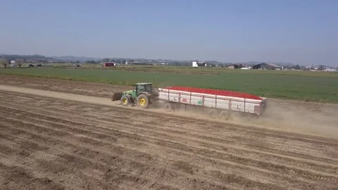 Tractor At Work Stock-Footage 126291439