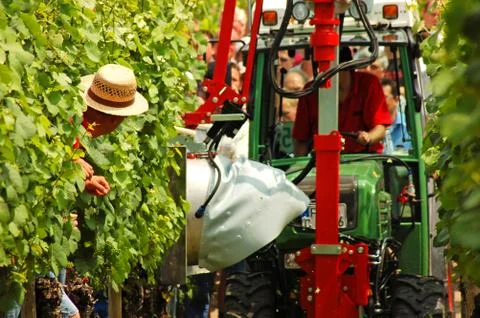 Tractor work Foto stock
