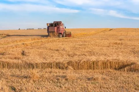 Tractor at work Stock Photos