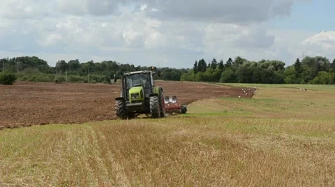 Tractor work plow agriculture field autumn many storks look food Stock Footage 18187553