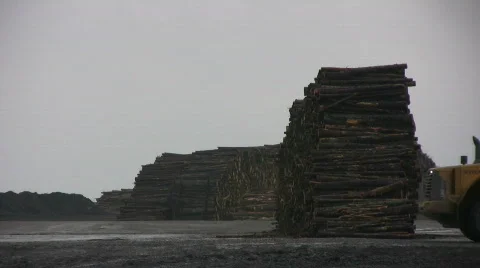 Tractor work with timber Stock Footage 563371