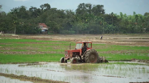 Tractor with worker is leveling a watering ground slowly on the agricultural Stock-Footage 67485528