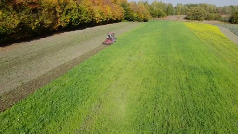 The tractor is working on an arable field. Video stock 219349403