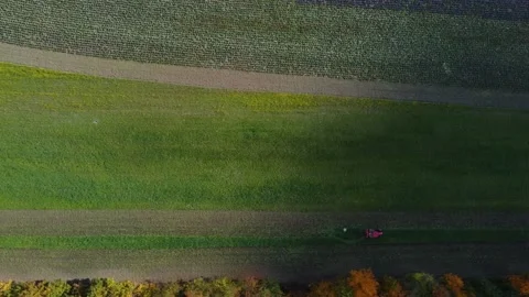 The tractor is working on an arable field. Time lapse Video stock 219392835