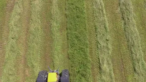 Tractor is working on a big field and is preparing hay into lines Stock Footage 72955953