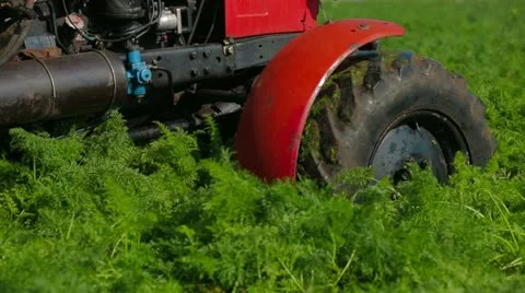 Tractor Working On Carrot Field Video stock 22304386
