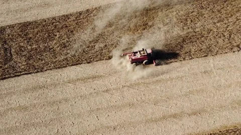 Tractor working in corn field Stock Footage 237101706