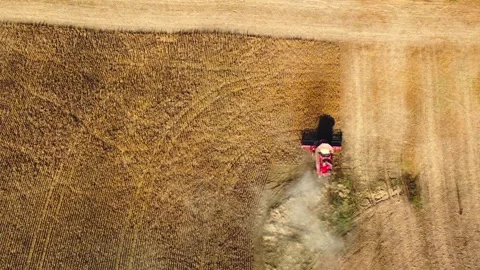 Tractor working in corn field Stock Footage 237101857