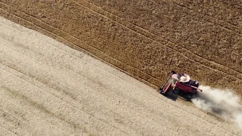 Tractor working in corn field Stock Footage 237101868