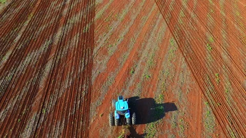 Tractor working crop rows in early soybean field in Formosa Goiás Brazil aerial Vidéo 332808380