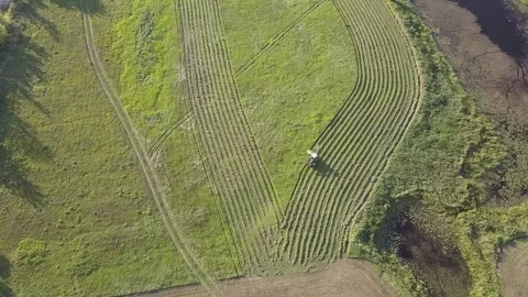 Tractor working cutting grass on the meadow. Aerial shot of european rural lands Stock-Footage 79622028