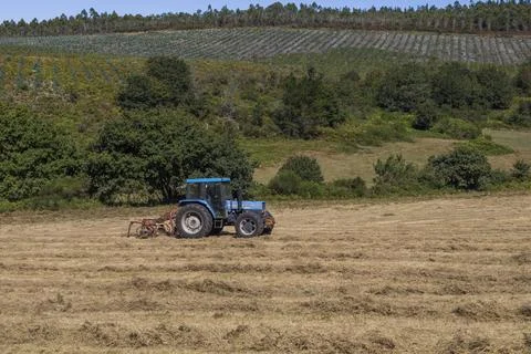 Tractor working during the summer in the cereal fields of Galicia, Spain. Stock Photos